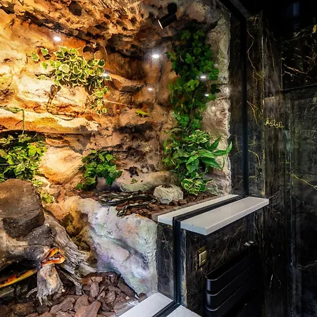 Housecube, Bar , Prywatne Kino, Bilard , Luxus *